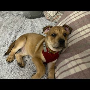 Meet your Posher, Cathy